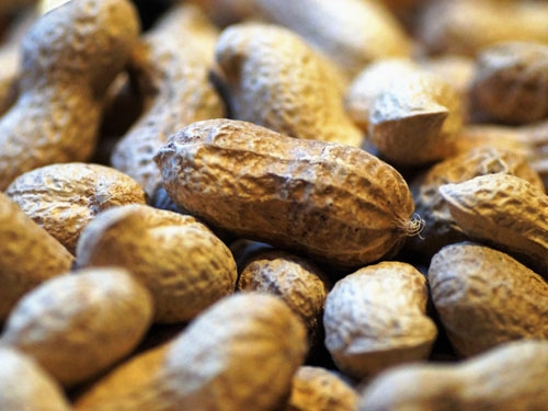 Close-up image of peanuts with their outer shells.